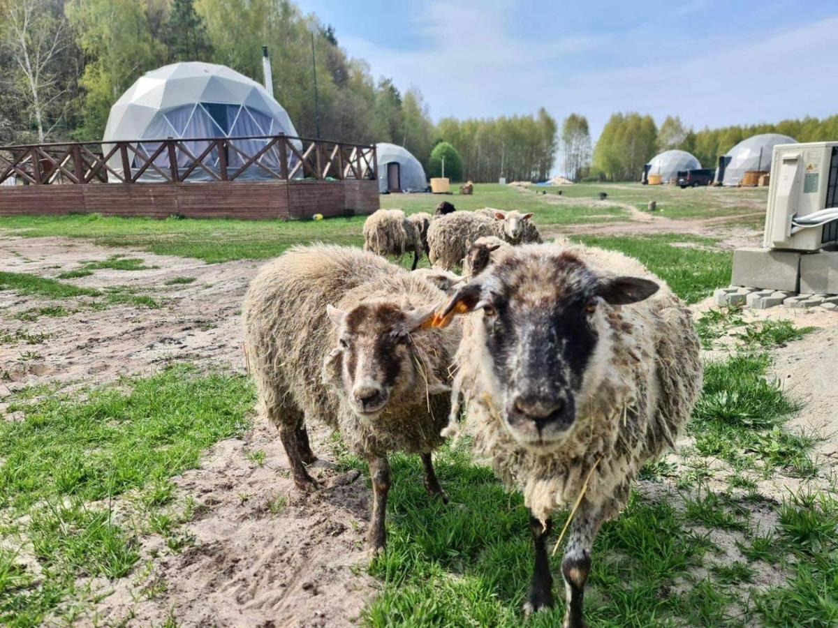 Ranczo Panderossa Villa Шчечинек Екстериор снимка